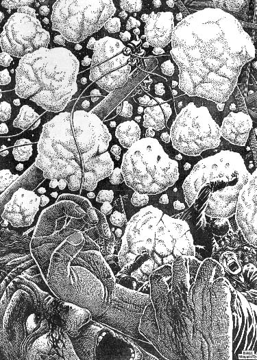 A blinding, crushing avalanche